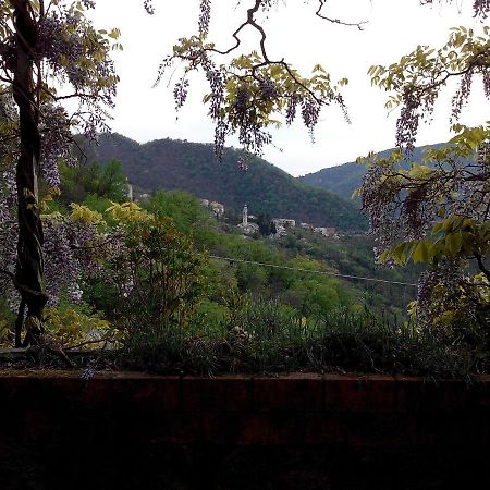 Vescina B&B I Glicini المظهر الخارجي الصورة