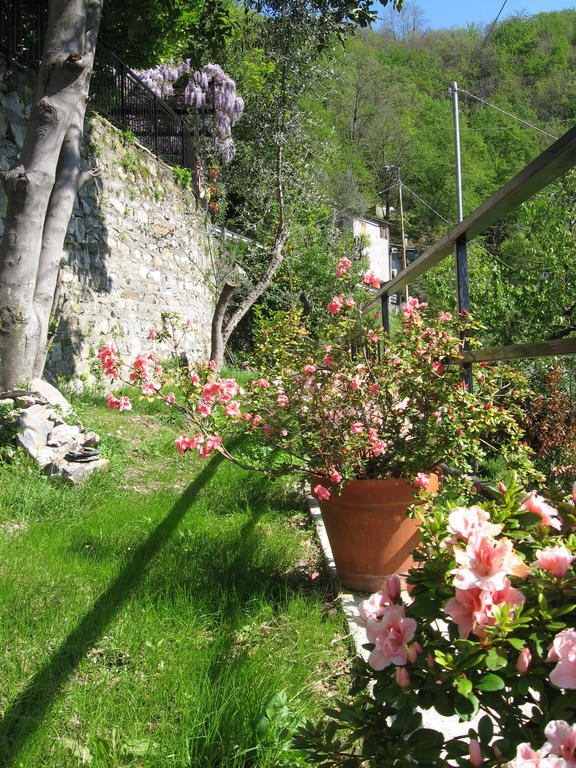 Vescina B&B I Glicini المظهر الخارجي الصورة