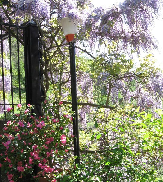 Vescina B&B I Glicini المظهر الخارجي الصورة