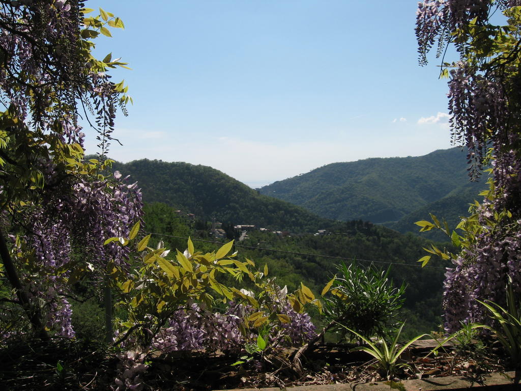 Vescina B&B I Glicini المظهر الخارجي الصورة
