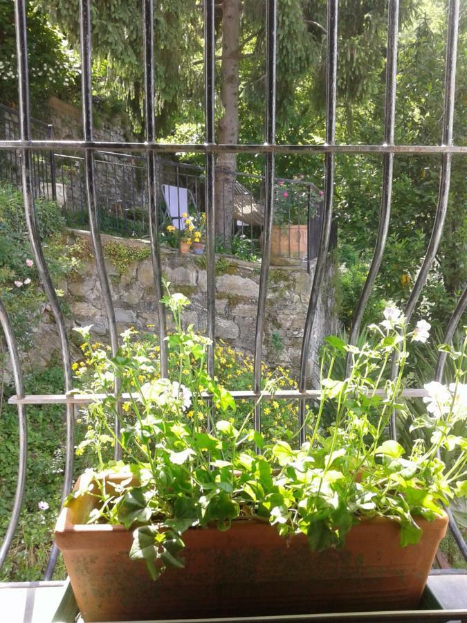 Vescina B&B I Glicini المظهر الخارجي الصورة