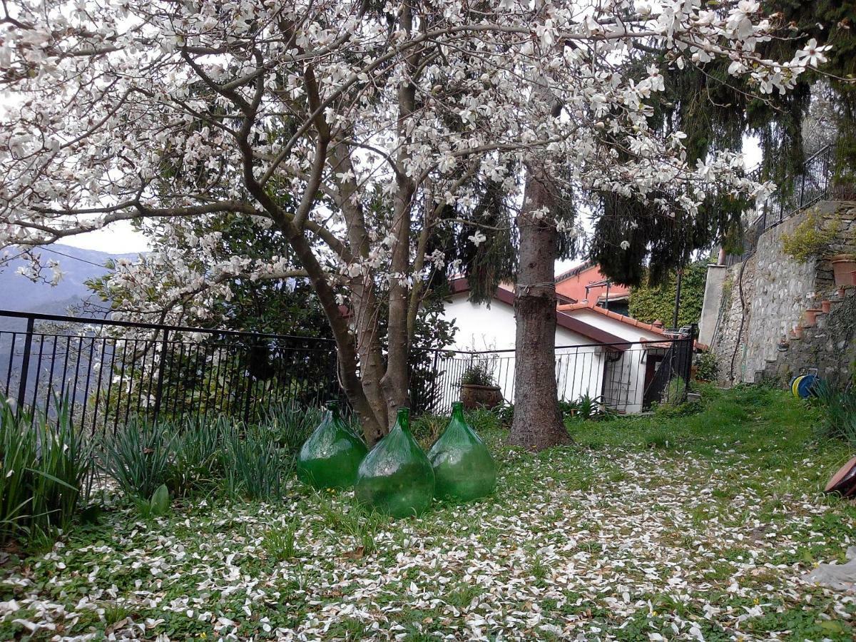 Vescina B&B I Glicini المظهر الخارجي الصورة