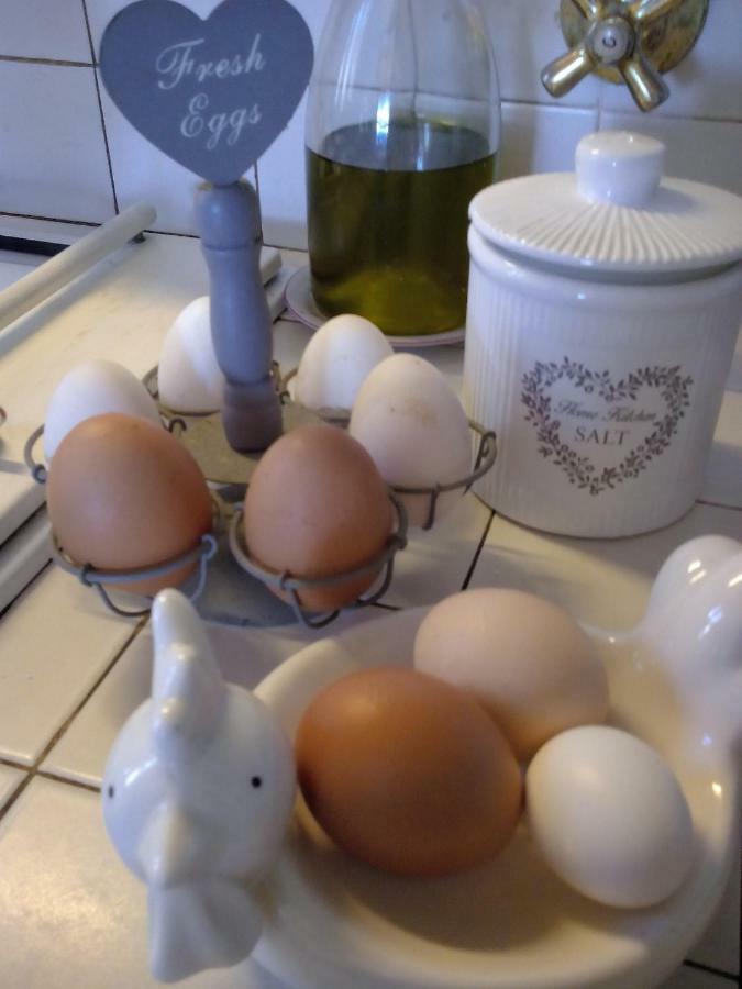 Vescina B&B I Glicini المظهر الخارجي الصورة