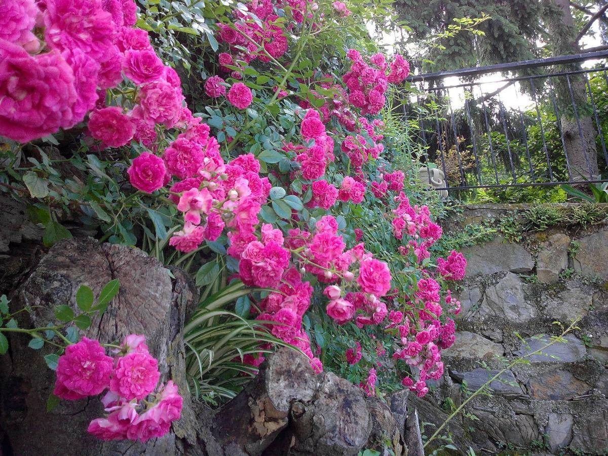 Vescina B&B I Glicini المظهر الخارجي الصورة