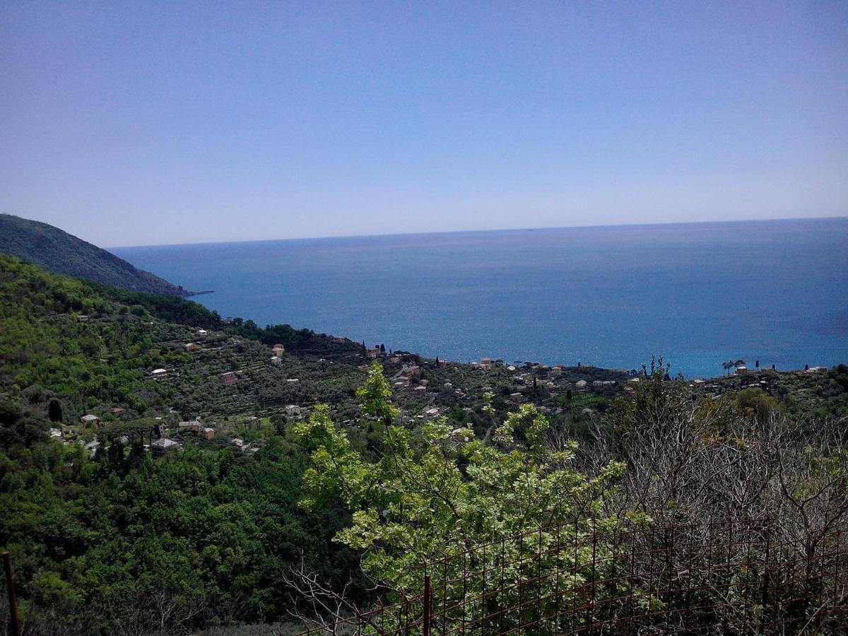 Vescina B&B I Glicini المظهر الخارجي الصورة
